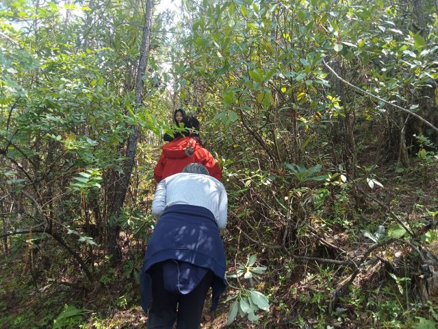 九仙峰民族神山观景台旅行图片 3