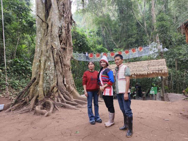 基诺山达娘雨林徒步旅行图片 7