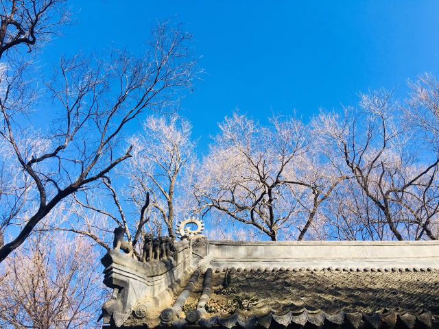 高句丽遗址公园旅行图片 9