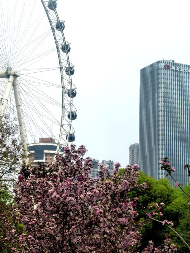 古逍遥津旅行图片 3