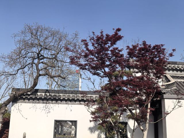 骆岗公园旅行图片 10