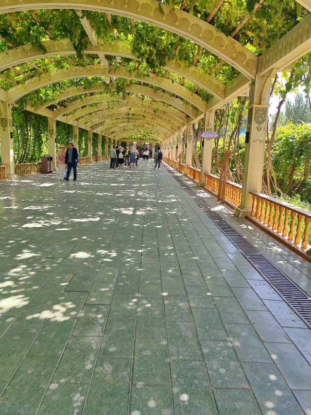 吐鲁番沙疗旅游园(暂停开放)旅行图片 4