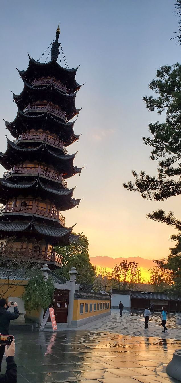 龙华塔旅行图片 5