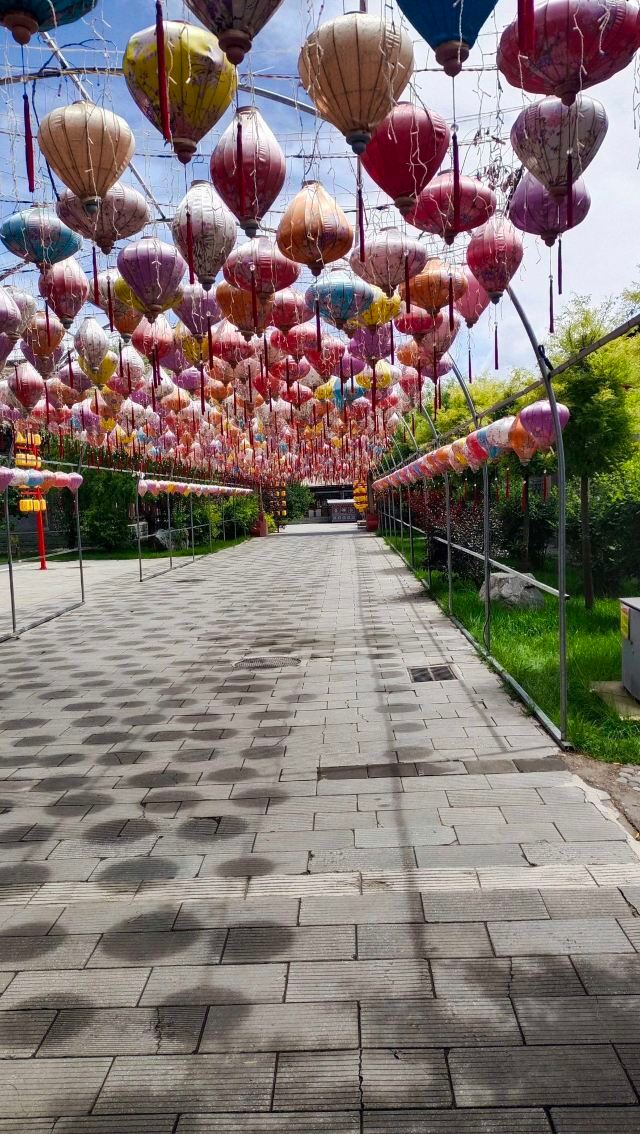 互助土族故土园旅游区旅行图片 3