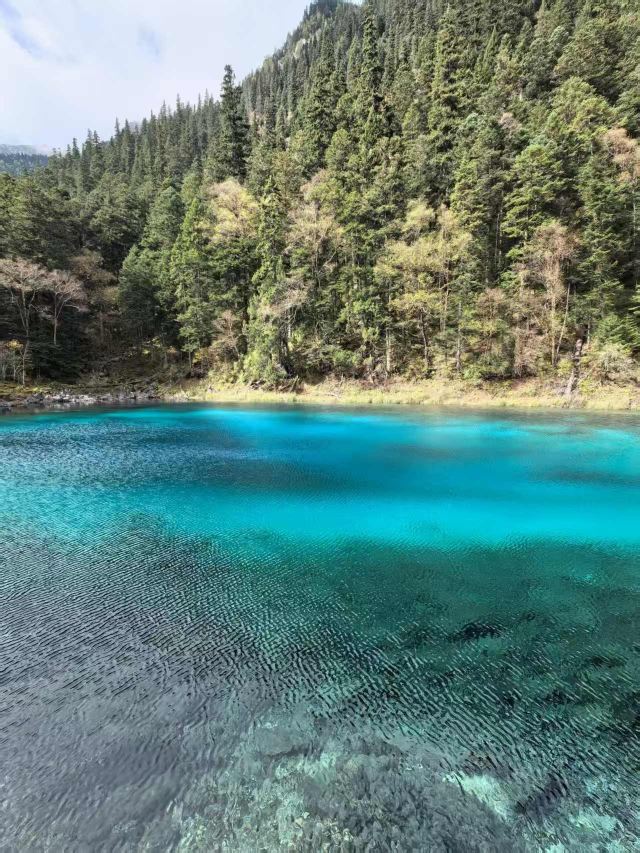 九寨沟景区五彩池观景台旅行图片 4