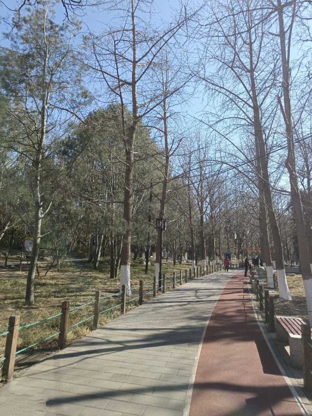 宣武艺园旅行图片 10