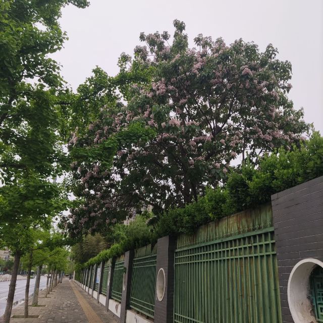 西局玉璞园旅行图片 1