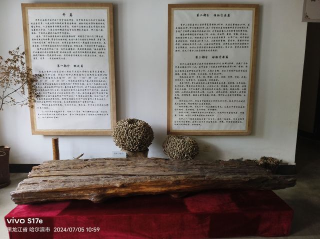 香炉山国家森林公园-自动售卖机旅行图片 4