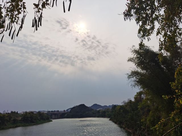 左江斜塔旅行图片 3