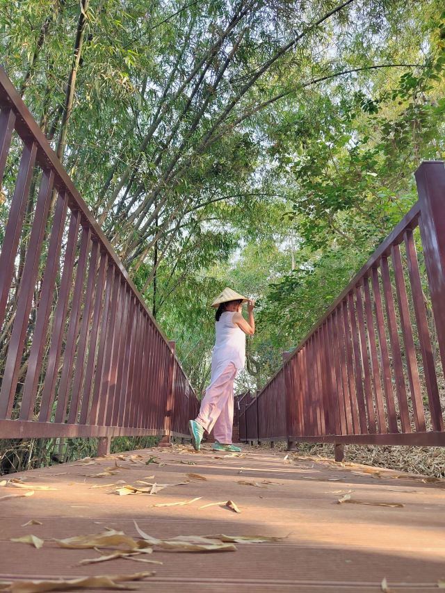 左江斜塔旅行图片 3
