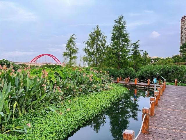 那考河湿地公园旅行图片 10