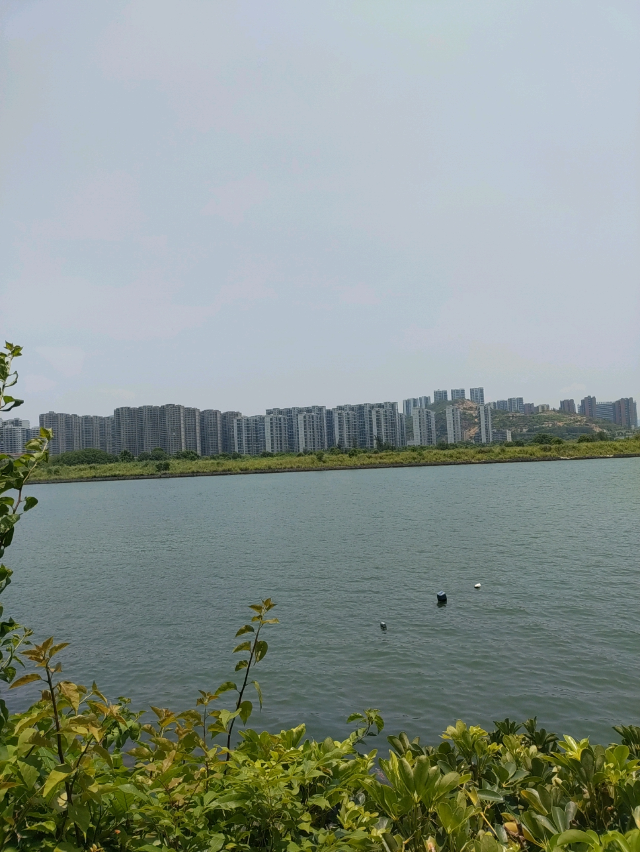 礁石公园旅行图片 2