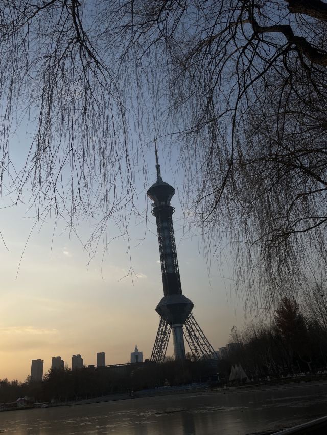 世纪公园旅行图片 1