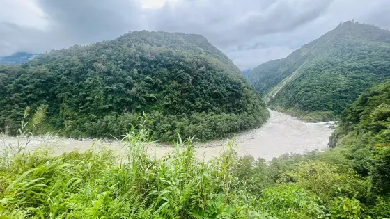 林多大拐彎