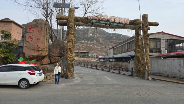 崂山大崂樱桃谷旅行图片