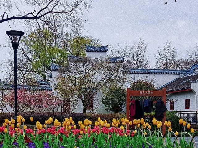 闸北公园旅行图片 1