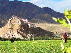 宗山抗英遗址-江孜宗山古堡-江孜-wxx1026