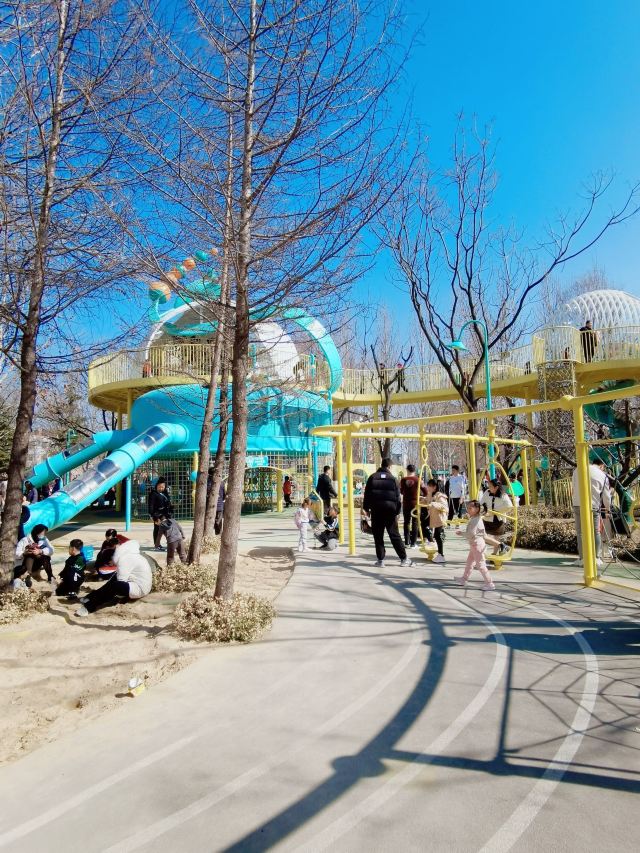 张店儿童公园旅行图片 2
