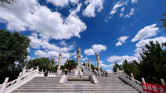 雲龍山（森林公園）
