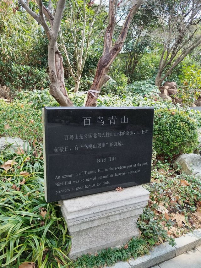 上海鲁迅公园旅行图片 9