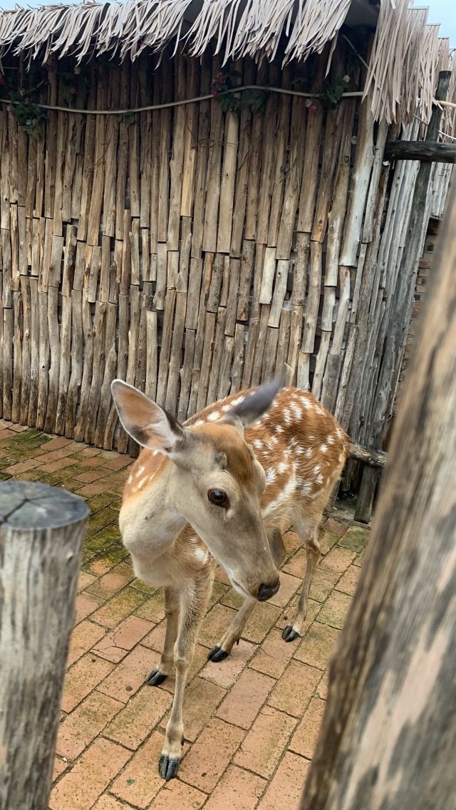 白鹿原影视城旅行图片 7