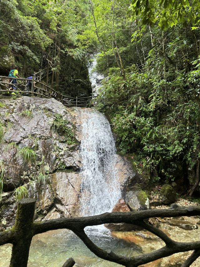箬寮原始森林旅行图片 1