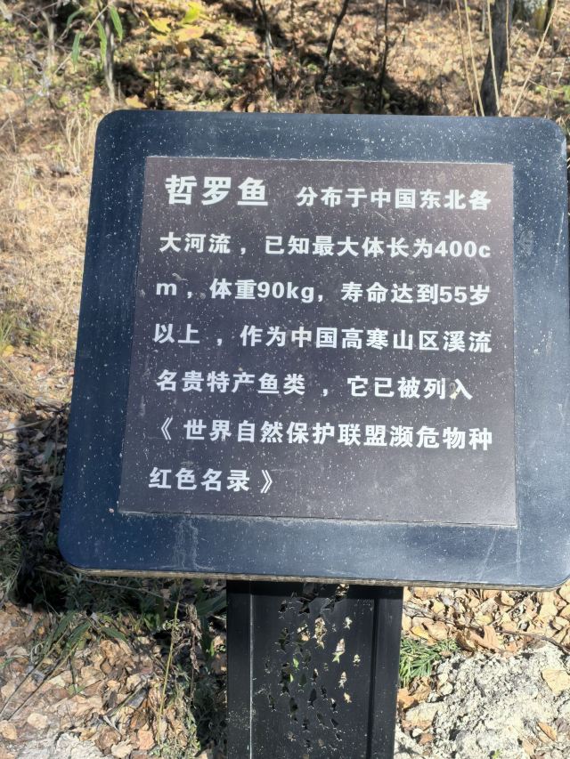茅兰沟国家森林公园(暂停开放)旅行图片 1