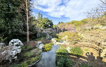 The Chinese Tea House餐厅图片