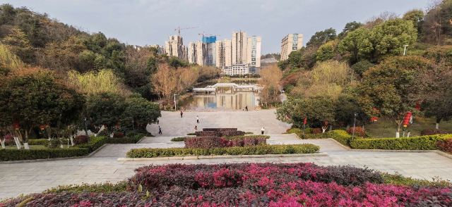 五岭公园旅行图片 2