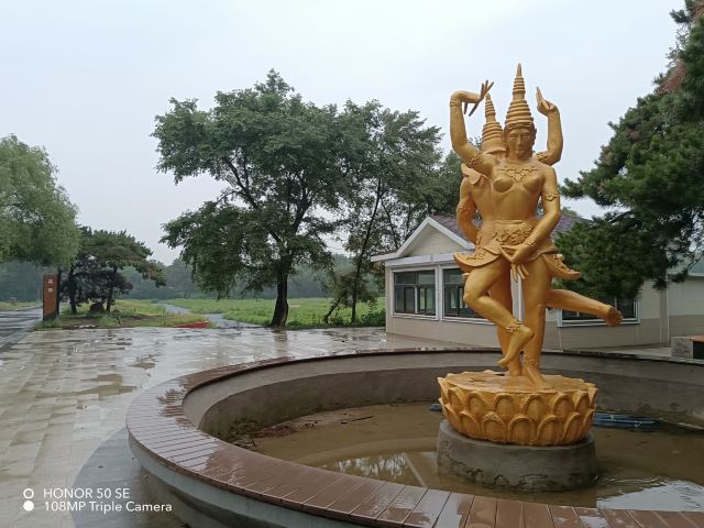 北陵公园旅行图片 2