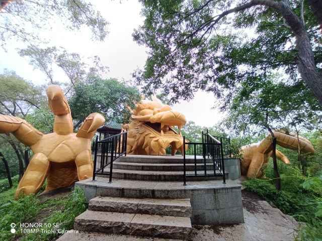 北陵公园旅行图片 1