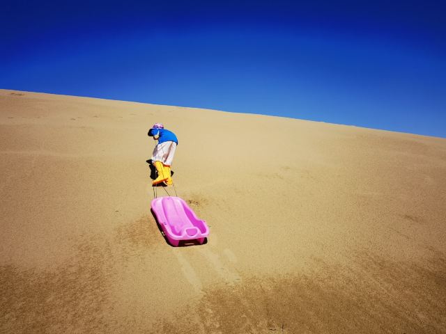 沙漠雕塑公园旅行图片 4