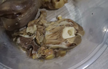 马俊炕锅肉(锦都广场店)餐厅图片