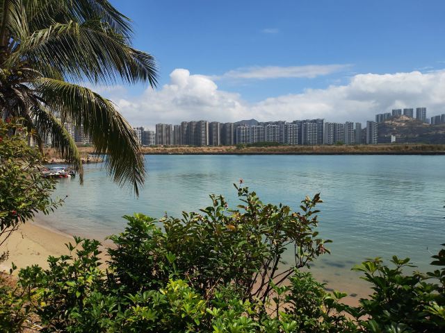 礁石公园旅行图片 2