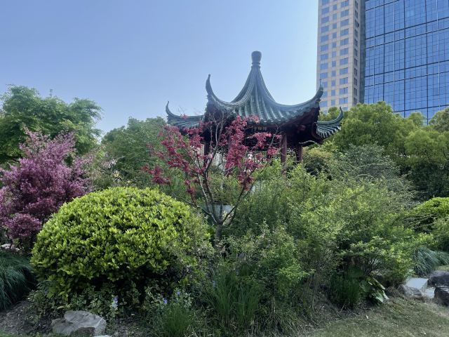 上海长风公园旅行图片 6