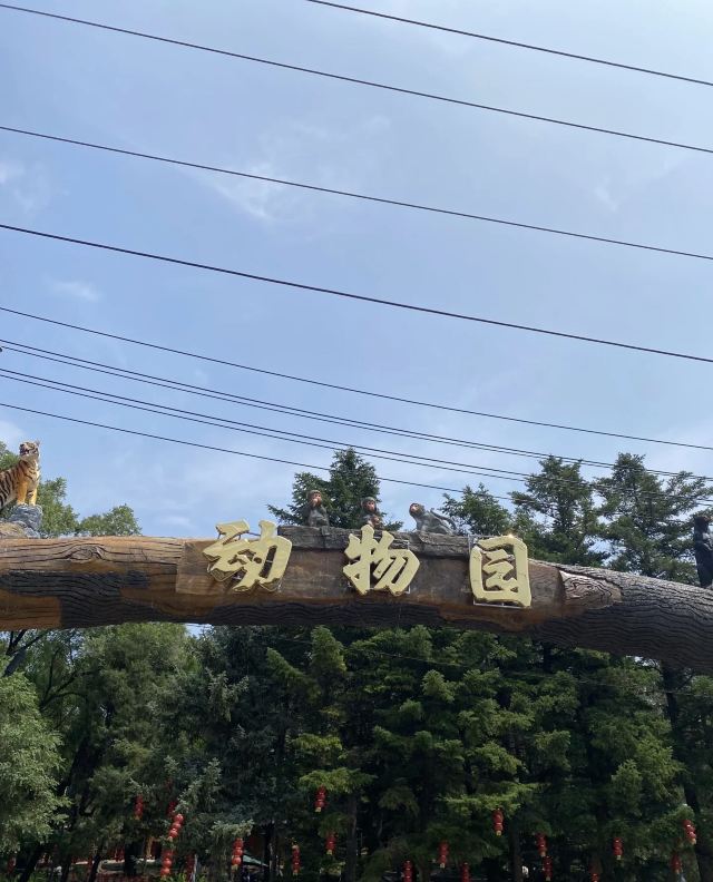 抚顺市劳动公园旅行图片 1