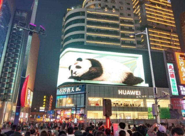 凤凰磁浮观光快线旅行图片 6