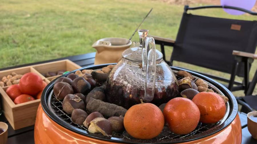 李艺金钱龟生态园