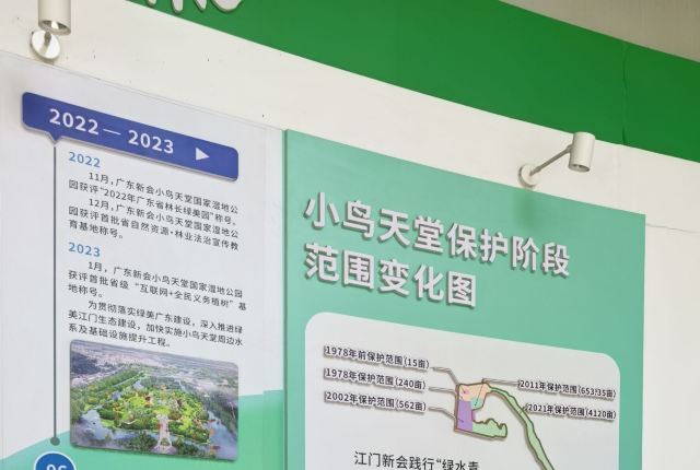 小鸟天堂旅行图片 1