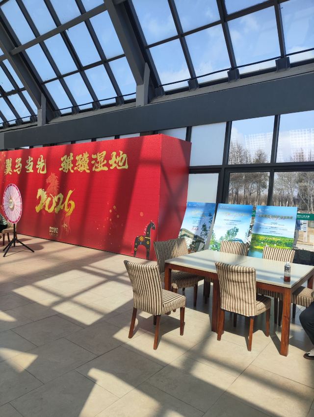 上海东滩湿地公园旅行图片 2