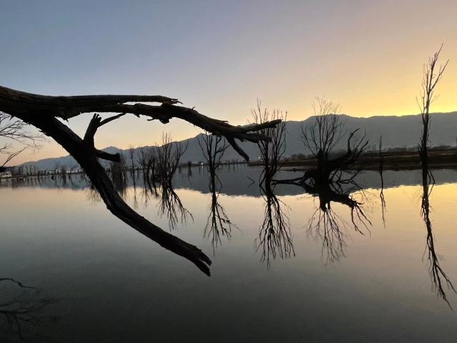 黄龙潭公园旅行图片 5