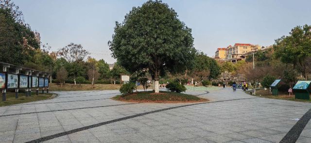 苏仙湖公园旅行图片 5