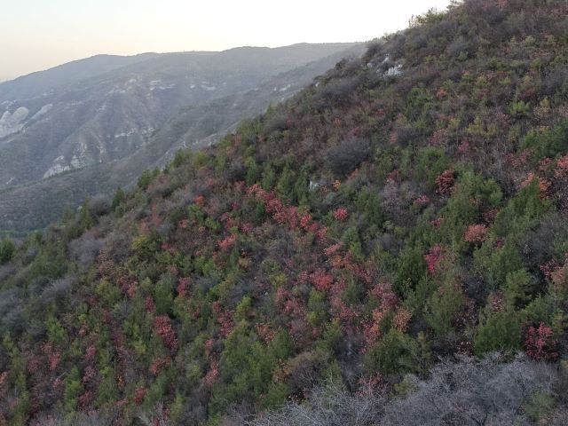 崛围山旅行图片 2