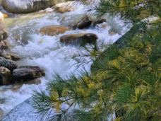 大箭沟-太白-最美不过路上的风景