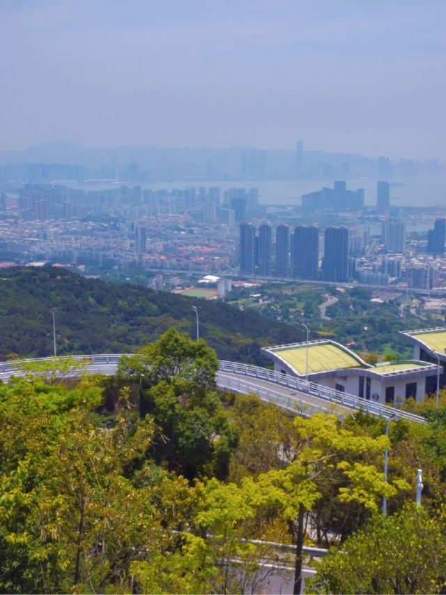 蔡尖尾山公园旅行图片 3