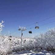 2022年北京冬奥会项目介绍——滑雪华体会- 华体会体育官方网站- 华体会体育APP下载
