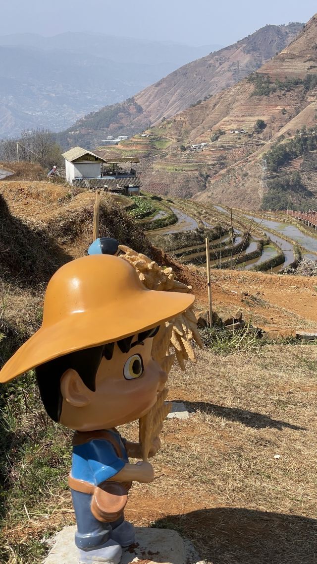 新山梯田旅行图片 5