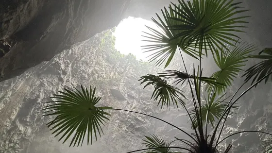 矅天眼天坑