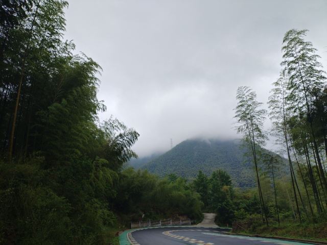 笄山竹海旅行图片 2