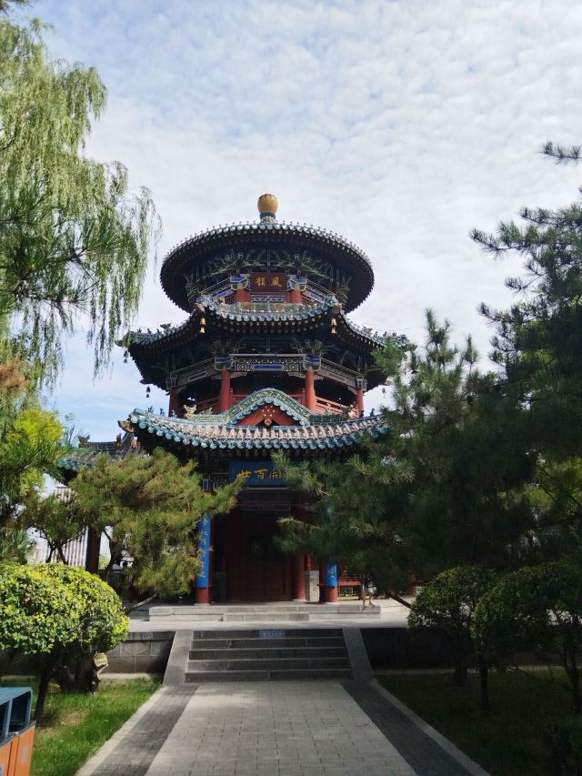 迎泽公园旅行图片 8
